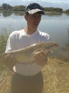 pe olt - 1380359862974.jpg